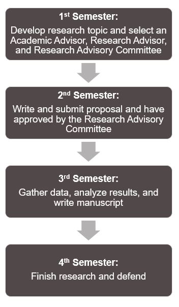 Thesis and internship timeline